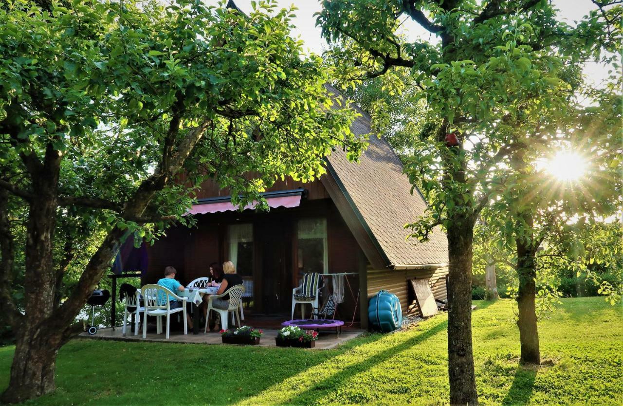 Ferienhaus Ederer Waldmuenchen Exterior photo