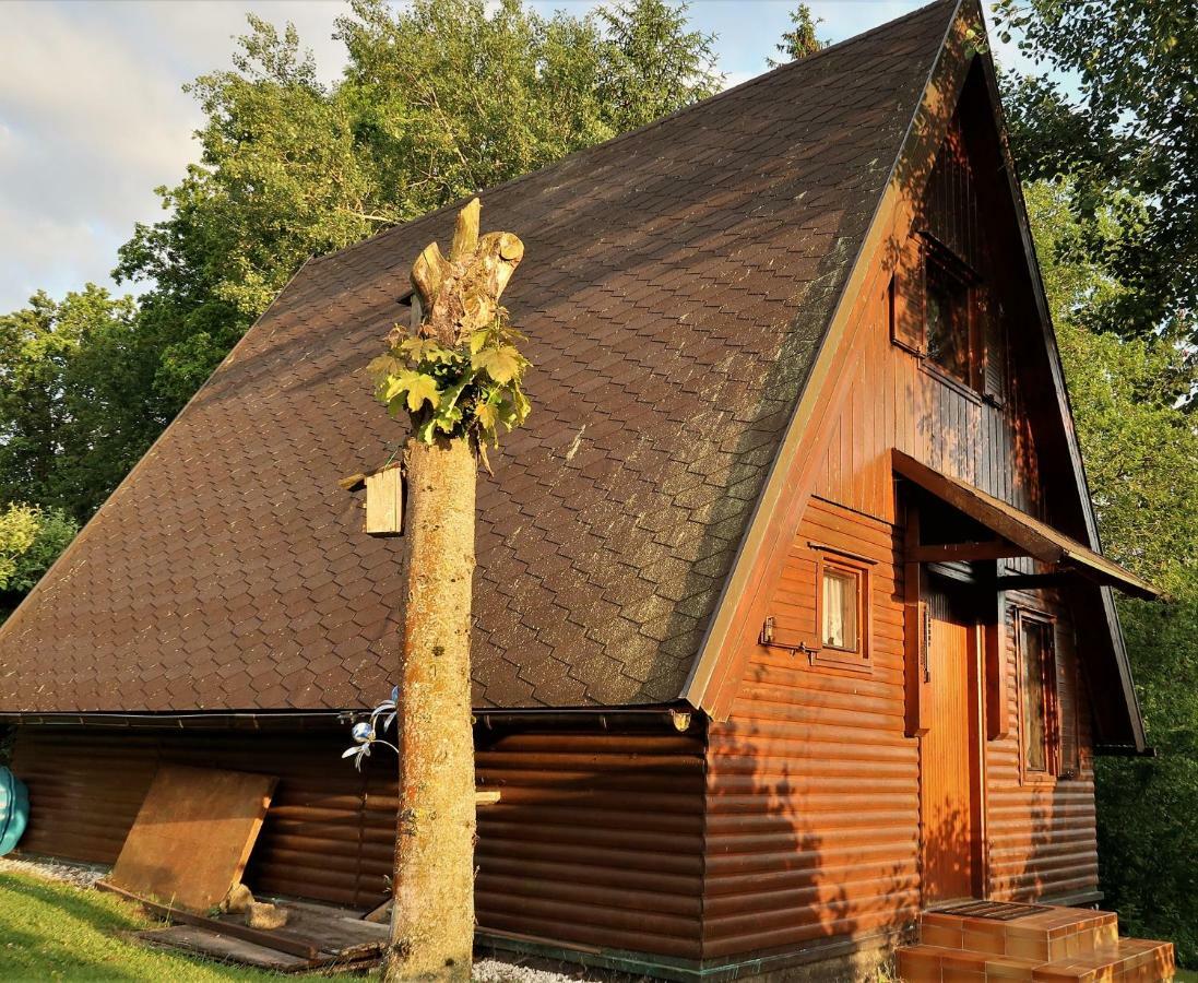 Ferienhaus Ederer Waldmuenchen Exterior photo
